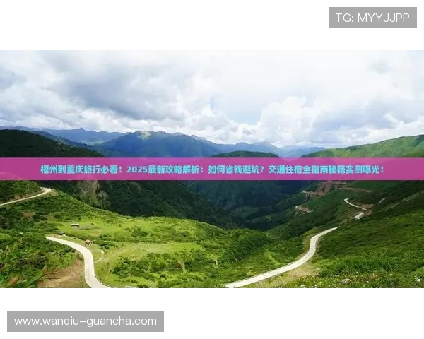 玩球App彩票数字高频玩法防骗避坑指南